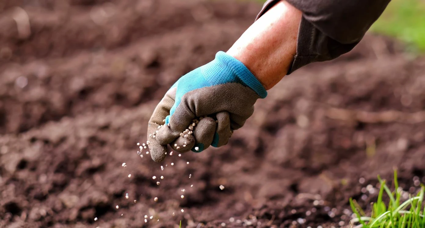 Soil & Fertilizers