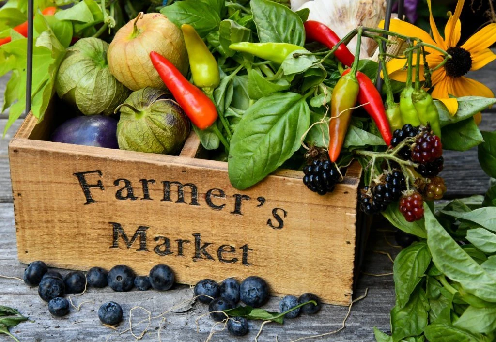 Felix Organic Shop